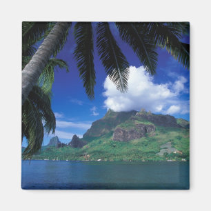 Französisch-Polynesien, Moorea. Cooks Bay.Grün Magnet