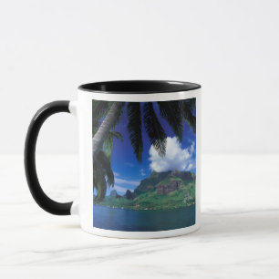 Französisch-Polynesien, Moorea. Cooks Bay. Grün Tasse