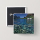 Französisch-Polynesien, Moorea. Cooks Bay. Kreuzfa Button (Vorne & Hinten)