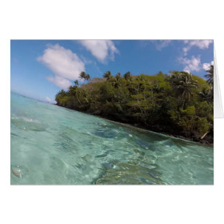 Französisch-Polynesien Snorkel