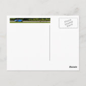 Französisch Racing Blue Postkarte (Rückseite)