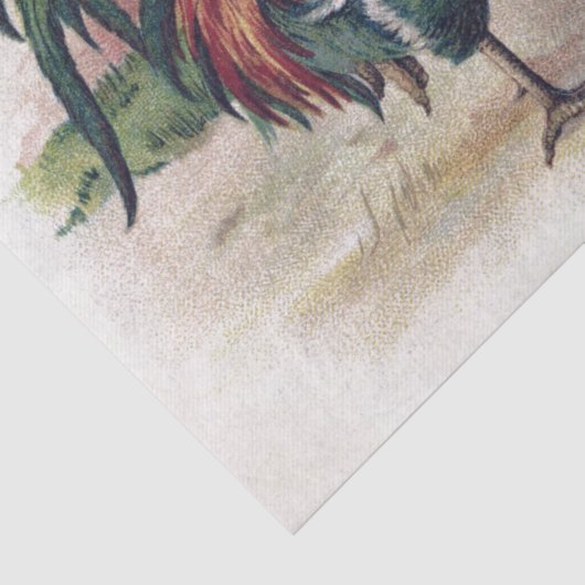 Französisch Script Hen Chicken Farmhouse Decoupage Seidenpapier (Detail)