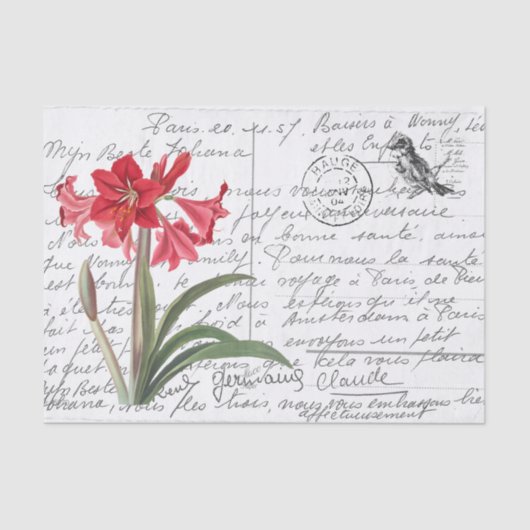 Französisch Script Vintag Amaryllis Bird Postcard Seidenpapier (Vorderseite)