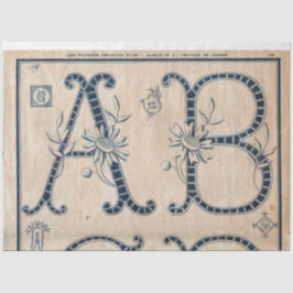 Französisch Stickerei Muster Decoupage oder Giftwr Seidenpapier