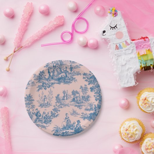 Französisch toile de jouy blau und rosa elegant pappteller (Party)