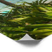 Französisch-Westindien, Guadaloupe, Grande Terre,  Poster (Ecke)