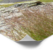 Französische Alpen Chamonix Ibex Poster (Ecke)