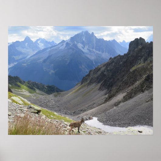 Französische Alpen Chamonix Ibex Poster (Vorne)
