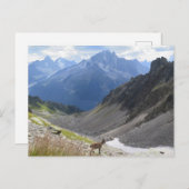 Französische Alpen Chamonix ibex Postkarte (Vorne/Hinten)