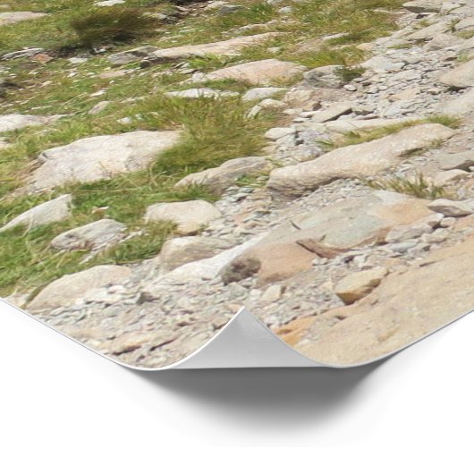 Französische Alpen Chamonix Poster (Ecke)