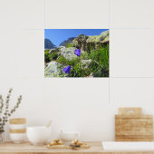 Französische Alpen Poster (Küche)