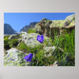 Französische Alpen Poster