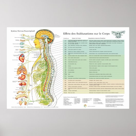 Französische ANS-Subluxationen wirken sich auf die Poster (Vorne)
