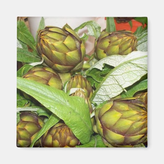 Französische Artichokes - Magnete Magnet (Vorne)