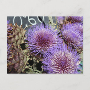 Französische Blume Market Purites Postkarte