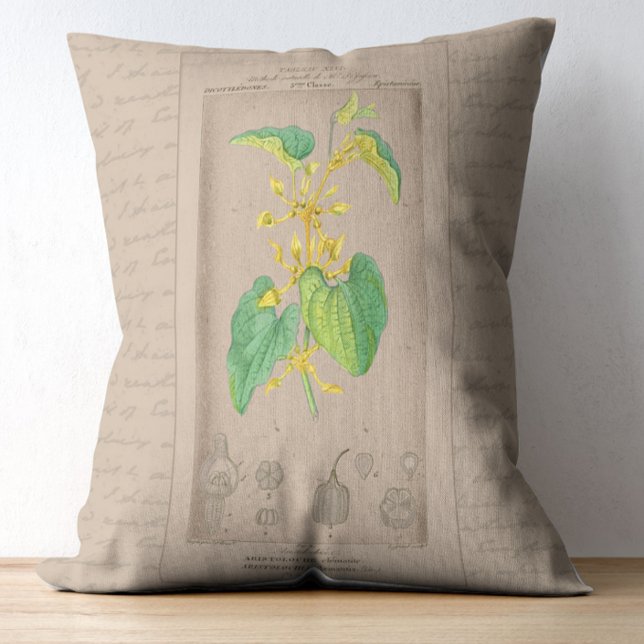 Französische botanische Illustration Dekokissen (Von Creator hochgeladen)