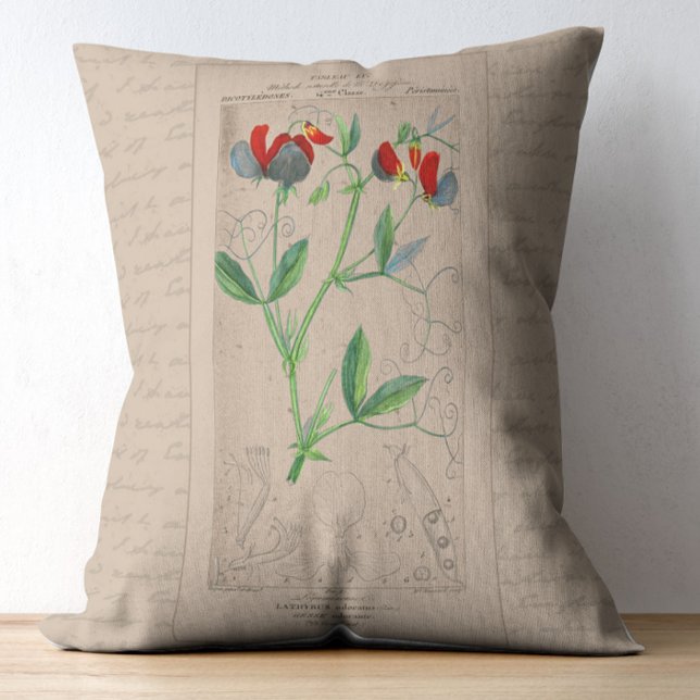 Französische botanische Illustration süße Erbse Dekokissen (Von Creator hochgeladen)