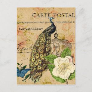 französische botanische Kamelie Vogelkäfig Vintage Postkarte