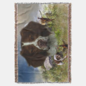 Französische Bretagne, Kunst Decke (Vorderseite Vertikal)