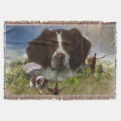 Französische Bretagne, Kunst Decke (Vorderseite)