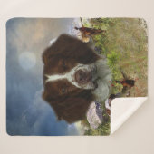 Französische Bretagne, Kunst Sherpadecke (Vorderseite (Horizontal))