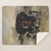 Französische Bretagne, Kunst Sherpadecke (Vorderseite (Horizontal))