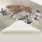 Französische Bretagne, Vogeljagd Kunst Sherpadecke (3/4)