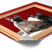 Französische Buldoggen Poster (Ecke)