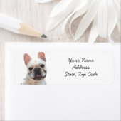 Französische Bulldog-Adressenmarken (Insitu)