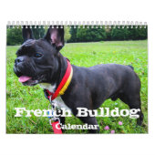 Französische Bulldog-benutzerdefinierte Kalender H (Titelbild)