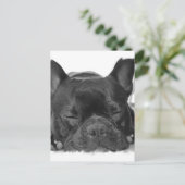 Französische Bulldog Postkarte (Stehend Vorderseite)