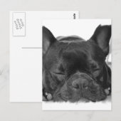 Französische Bulldog Postkarte (Vorne/Hinten)