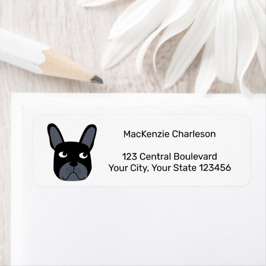 Französische Bulldog-Rücksendeadresse (Insitu)