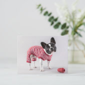 Französische Bulldog schöne Post Postkarte (Stehend Vorderseite)