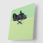 Französische Bulldog-Welpe pinkelt über die Mauer Quadratische Wanduhr (Winkel)