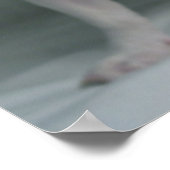 Französische Bulldog-Welpe Poster (Ecke)