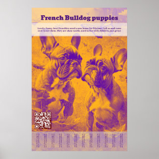 Französische Bulldog-Welpe-Verkäufer-Träne Poster