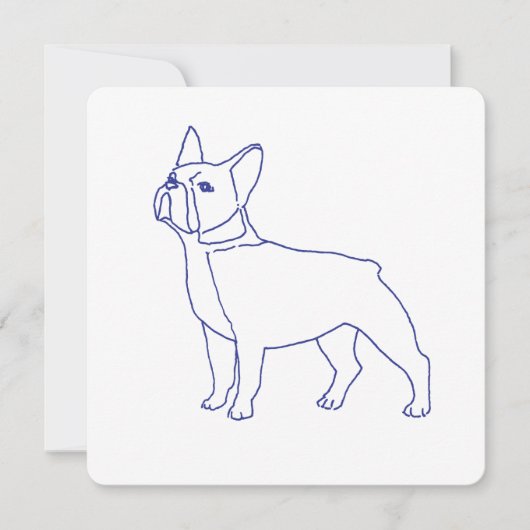 Französische Bulldogge (Vorderseite)