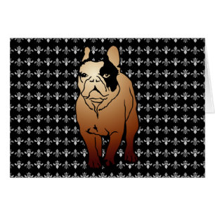 Französische Bulldogge