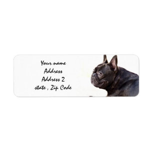 Französische Bulldogge
