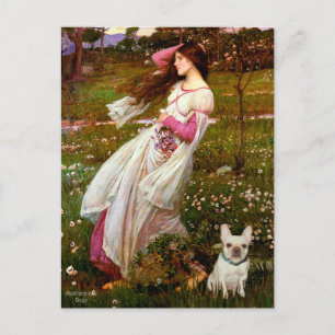 Französische Bulldogge 1 - Windflowers Postkarte