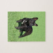 Französische Bulldogge 2 Puzzle (Horizontal)