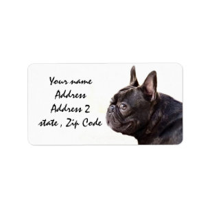 Französische Bulldogge Adressaufkleber