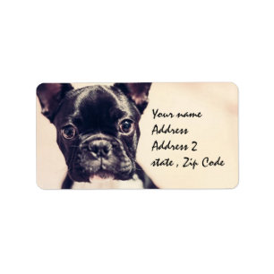 Französische Bulldogge Adressaufkleber