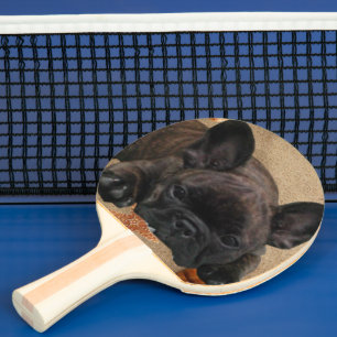 Französische Bulldogge am Meer French Bulldog Tischtennis Schläger