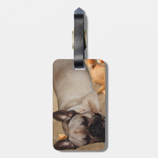 Französische Bulldogge am Meer im Urlaub Gepäckanhänger (Rückseite vertikal)
