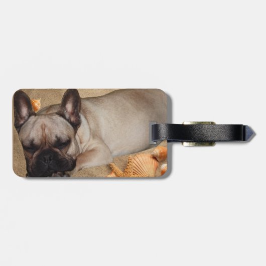 Französische Bulldogge am Meer im Urlaub Gepäckanhänger (Rückseite horizontal)