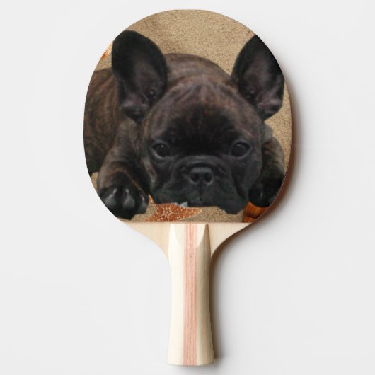 Französische Bulldogge am Meer Urlaub Tischtennis Schläger (Rückseite)