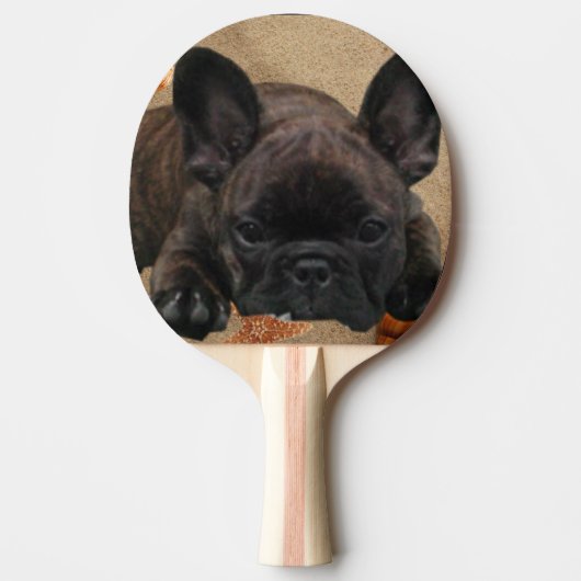 Französische Bulldogge am Meer Urlaub Tischtennis Schläger (Vorderseite)