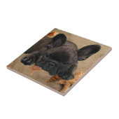 Französische Bulldogge am Strand French Bulldog Fliese (Seite)